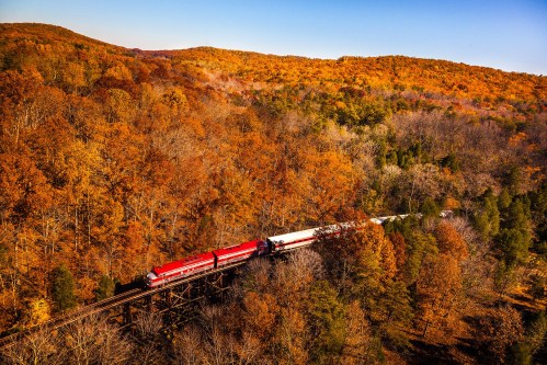A red train travels along tracks through a vibrant autumn forest with colorful foliage and rolling hills.