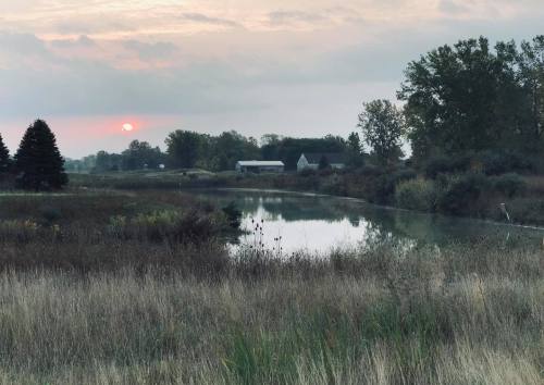 A serene landscape at sunset, featuring a calm pond surrounded by tall grass and trees.