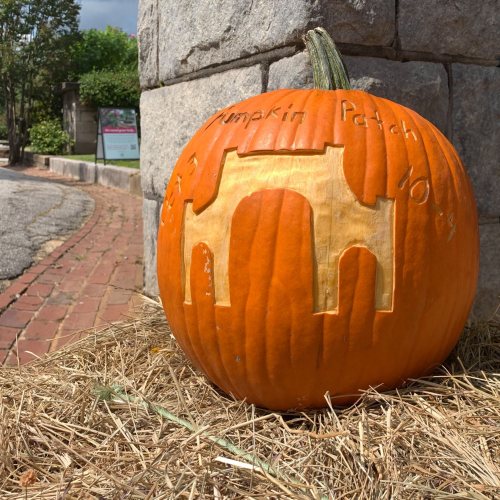 A carved pumpkin with an arch design, resting on hay near a stone wall, with "Pumpkin Patch 2023" inscribed.