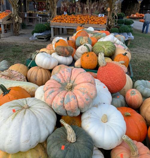 A variety of pumpkins in different colors and sizes stacked together at a farm stand.