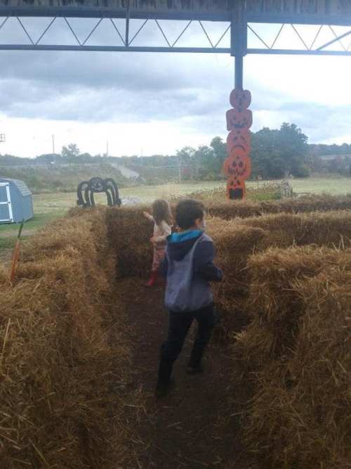Two children run through a hay maze, with pumpkins hanging in the background under a cloudy sky.