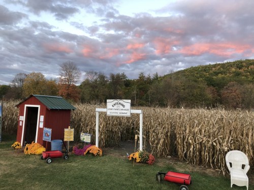 A red shed and sign in front of a cornfield, with colorful flowers and a scenic sky at sunset.