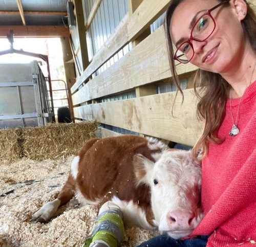 A woman sits beside a calf in a barn, smiling while resting her hand on the calf's back. Hay and wood shavings are around them.