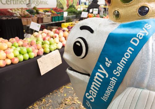 A cheerful fish mascot with a crown stands in front of a fruit stall at a market, promoting Issaquah Salmon Days.