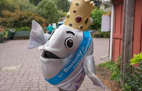 A cheerful fish mascot wearing a golden crown and blue sash, posing in a garden setting.