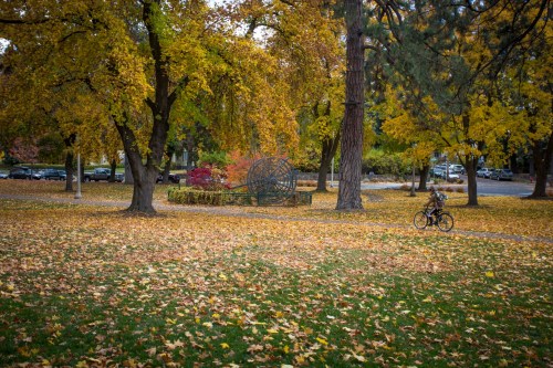 A park scene in autumn with colorful trees, fallen leaves, and a person riding a bicycle on a path.