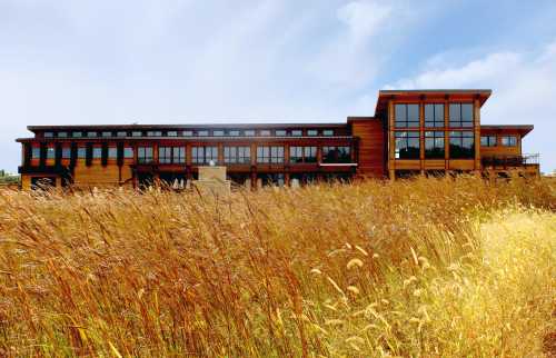 A modern wooden building surrounded by tall golden grass under a blue sky.