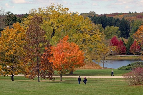 Two people walk along a path in a park surrounded by colorful autumn trees and a serene lake.
