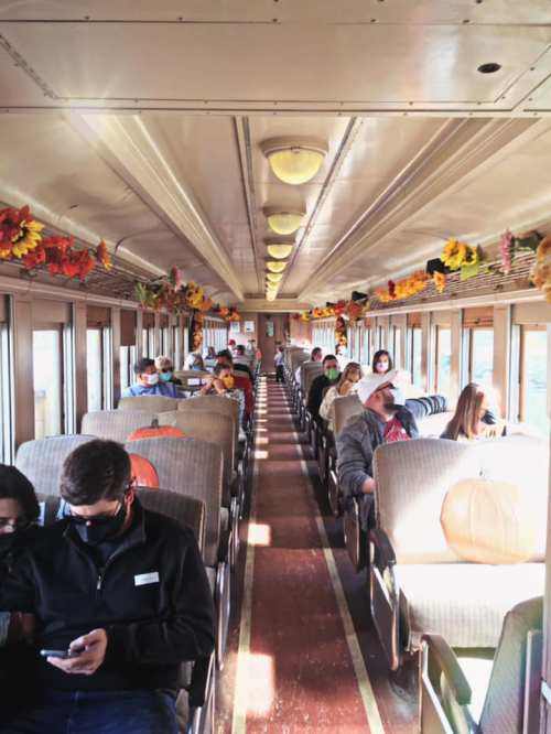 Interior of a train car filled with passengers, decorated with autumn flowers and pumpkins, creating a cozy atmosphere.