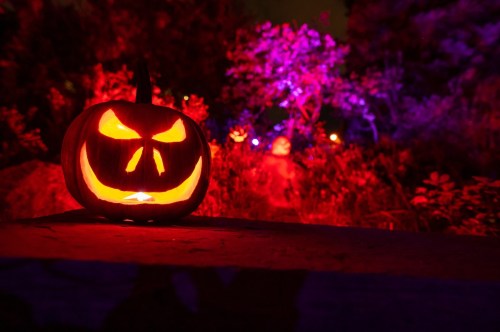 A carved pumpkin with a mischievous grin glows in a dark, colorful Halloween setting with purple and red lights.