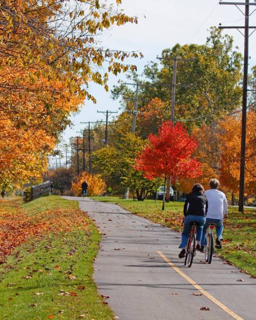 Two cyclists ride along a tree-lined path with vibrant autumn foliage, enjoying a sunny fall day.