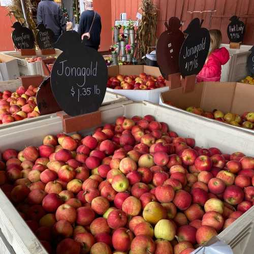 A market display of Jonagold apples in wooden crates, with price signs and shoppers in the background.