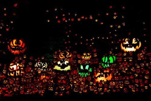 A vibrant display of carved pumpkins with various faces, glowing in the dark, creating a festive Halloween atmosphere.