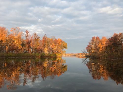 A serene lake surrounded by trees with vibrant autumn foliage, reflecting the colorful landscape under a cloudy sky.