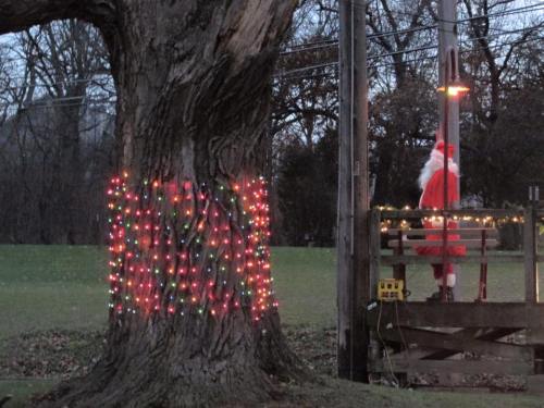A large tree wrapped in colorful Christmas lights, with a person in a Santa suit nearby.