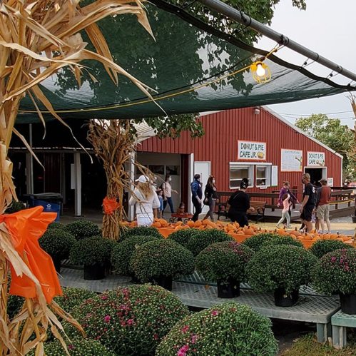 A bustling outdoor market with colorful flowers, pumpkins, and people walking under a canopy.