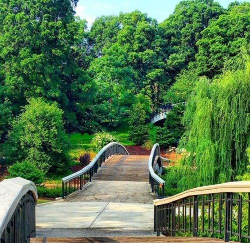 A serene park scene featuring a wooden bridge surrounded by lush green trees and vibrant foliage.