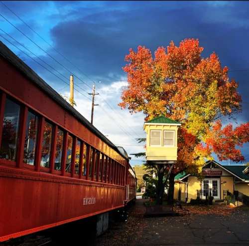 A vibrant orange train car beside a colorful autumn tree and a small building under a dramatic sky.