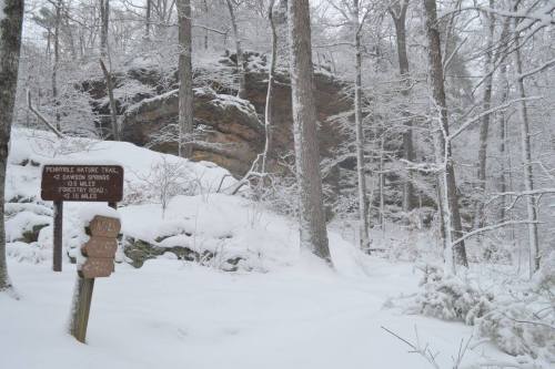 Snow-covered forest scene with a trail sign and a rocky outcrop in the background. Trees are blanketed in white.