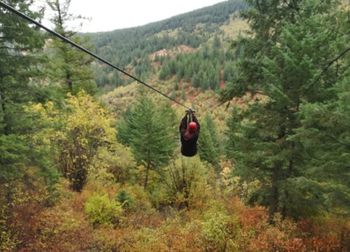 A person zip-lining through a forested area with colorful autumn foliage and mountains in the background.