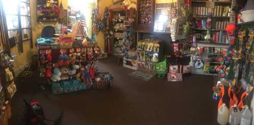 A colorful retail store filled with various pet supplies, toys, and accessories on display.