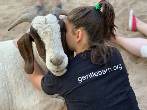 A girl in a black shirt hugs a goat, both sitting on sandy ground, sharing a moment of affection.