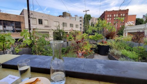 A view of a rooftop garden with plants, buildings in the background, and a glass of water on a table.