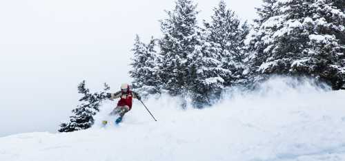 A skier in a red jacket glides through fresh snow, surrounded by snow-covered trees on a cloudy day.