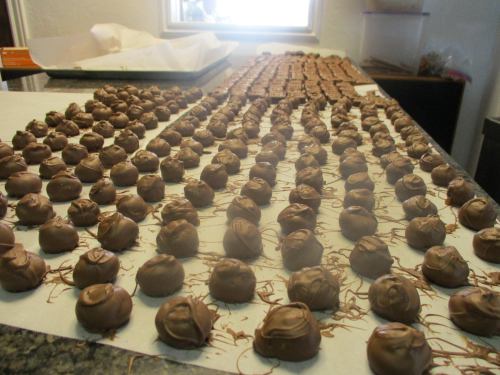A long table covered with rows of chocolate-covered truffles, some drizzled with chocolate, in a bright room.