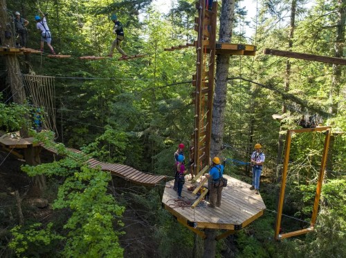Aerial view of a treetop adventure course with people navigating ropes and platforms among trees.