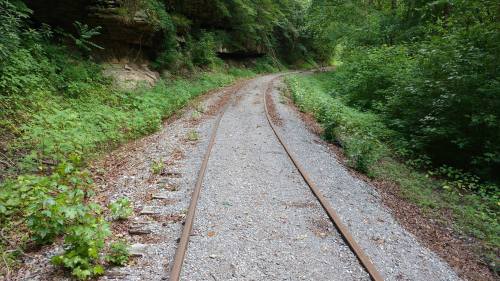 A winding railway track surrounded by lush greenery and rocky cliffs, leading into a forested area.