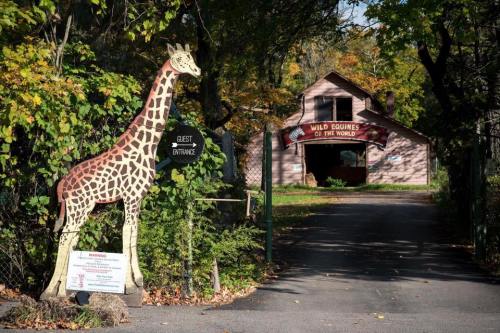 A wooden giraffe statue stands near the entrance to a building labeled "Wild Equines of the World," surrounded by greenery.