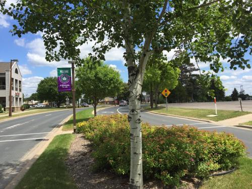 A tree and colorful banners line a curved road, with green bushes and a clear blue sky in the background.