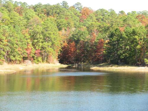 A serene lake surrounded by lush green trees, with hints of autumn colors reflecting on the water's surface.