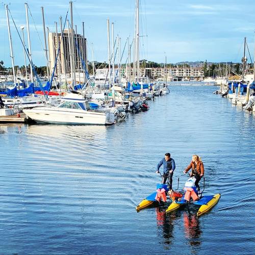 Two people paddle on kayaks in a marina surrounded by boats and buildings under a clear blue sky.