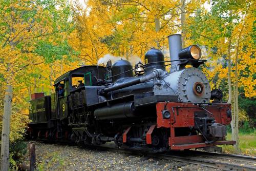 A vintage steam locomotive travels through a forest of vibrant yellow autumn leaves.