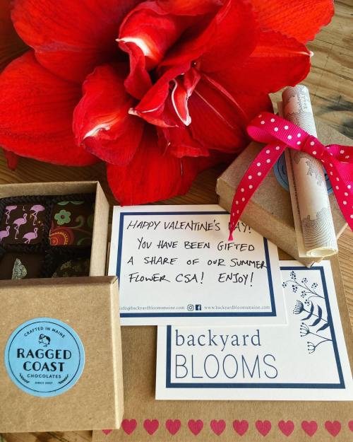 A vibrant red flower, chocolates, and a card reading "Happy Valentine's Day!" with a note about a flower CSA share.