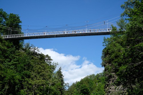 A suspension bridge spans a canyon, surrounded by lush green trees and a clear blue sky with scattered clouds.