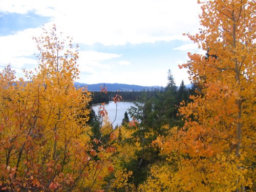 A scenic view of a river surrounded by vibrant autumn foliage in shades of orange and yellow, with distant mountains.