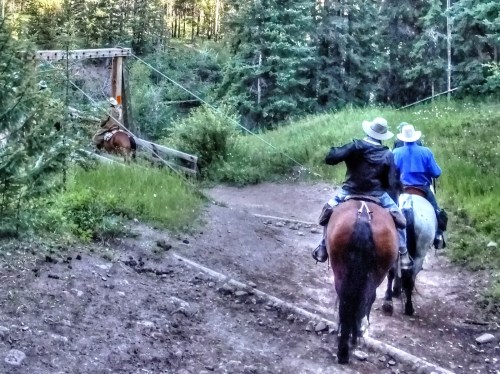 Two riders on horseback navigate a forested trail, approaching a wooden bridge in a lush, green landscape.