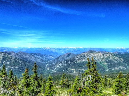 A panoramic view of mountains and valleys under a clear blue sky, with lush green trees in the foreground.