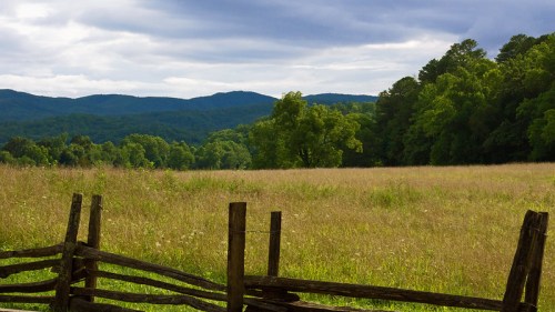 A serene landscape featuring a grassy field, wooden fence, and rolling green hills under a cloudy sky.