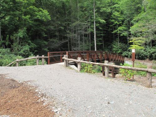 A wooden bridge spans a small path through a lush green forest, surrounded by trees and gravel.