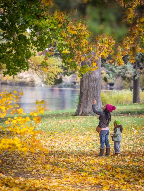 A woman and a child admire colorful autumn leaves in a park, surrounded by fallen leaves and trees by a lake.