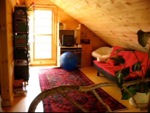 Cozy attic room with wooden walls, a blue exercise ball, a red couch, and a bookshelf near a window.