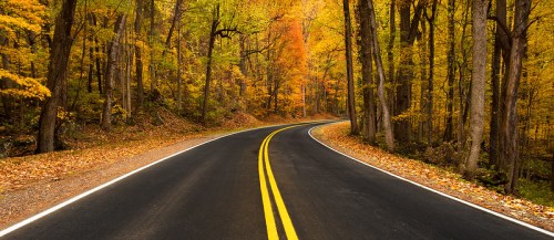 A winding road through a vibrant autumn forest with colorful leaves in shades of yellow, orange, and red.