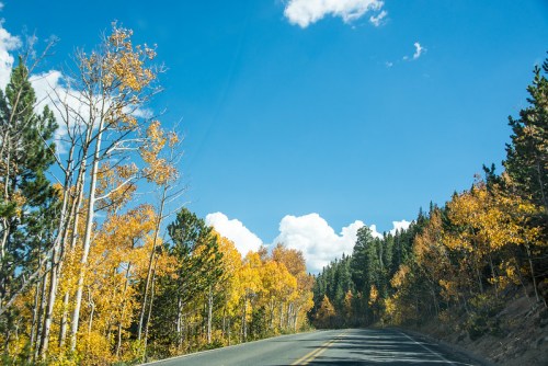 A scenic road lined with vibrant autumn trees under a bright blue sky with fluffy white clouds.