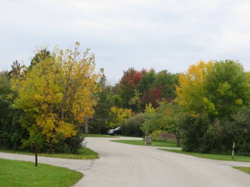 A winding road surrounded by trees displaying autumn colors of yellow, orange, and red under a cloudy sky.