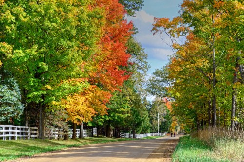 A scenic road lined with vibrant autumn trees in shades of green, orange, and red, with a white fence in the background.