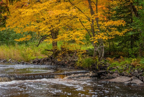A serene river scene with vibrant autumn foliage and a small waterfall surrounded by rocks and greenery.